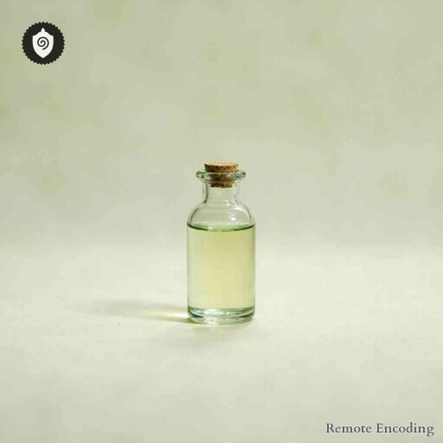 Ficus Carica quantum transmission module for distance energy relay and remote imprint in energetic systems