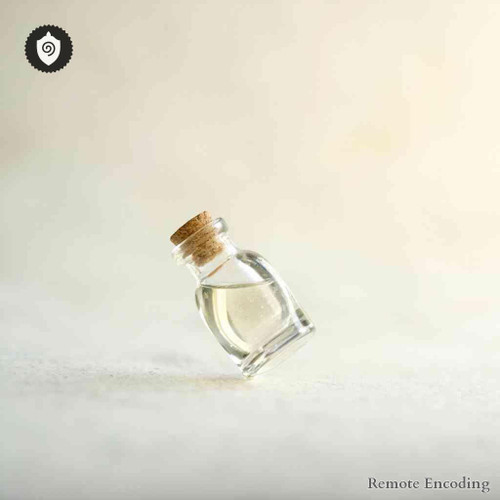 Francisella Tularensis distance energy relay module for quantum transmission and remote energetic charge alignment