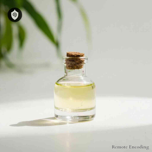 Ganciclovir remote imprint module for quantum transmission and distance energy relay in energetic homeopathic (nonmedical) applications