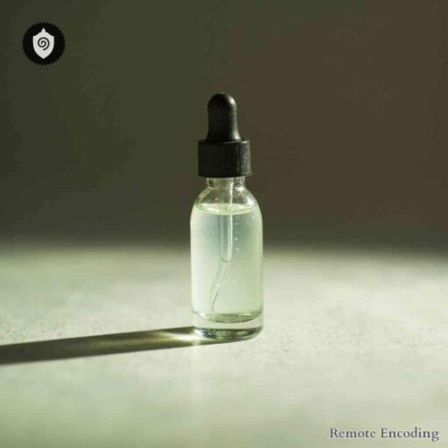 Gnaphalium Polycephalum remote imprint device for quantum transmission and distance energy relay applications