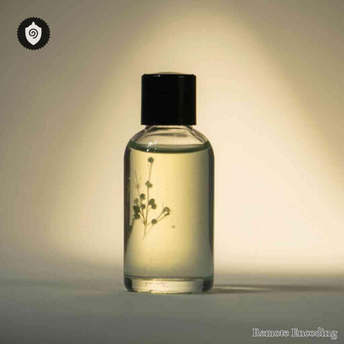 Gomphrena Arborescens distance energy relay for quantum transmission and remote activation in energetic fields