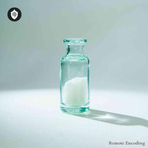 Heimia Salicifolia remote imprint tool for quantum transmission and distance energy relay in energetic fields