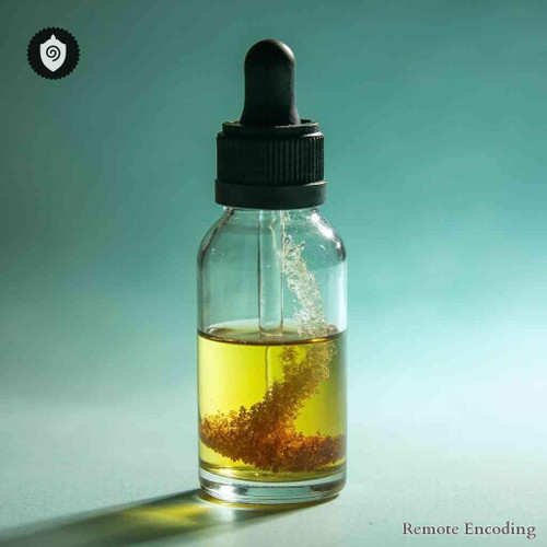 Helminthotheca Echioides remote imprint module for quantum transmission and distance energy relay in field sync