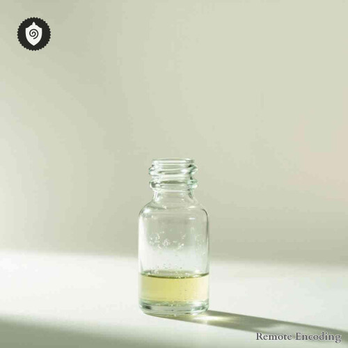 Hemiboea Subcapitata remote imprint module for quantum transmission and distance energy relay with precision alignment