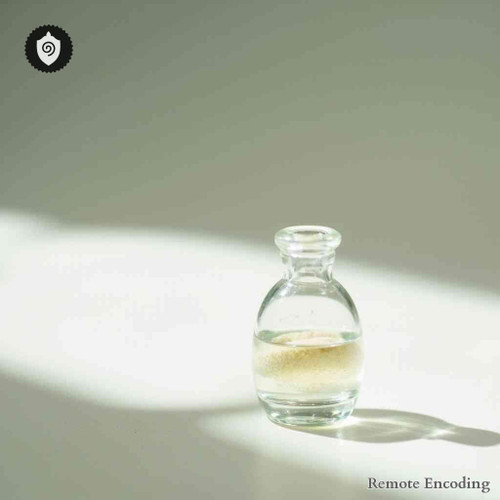 Kirengeshoma Palmata remote imprint conduit for quantum transmission and distance energy relay integration