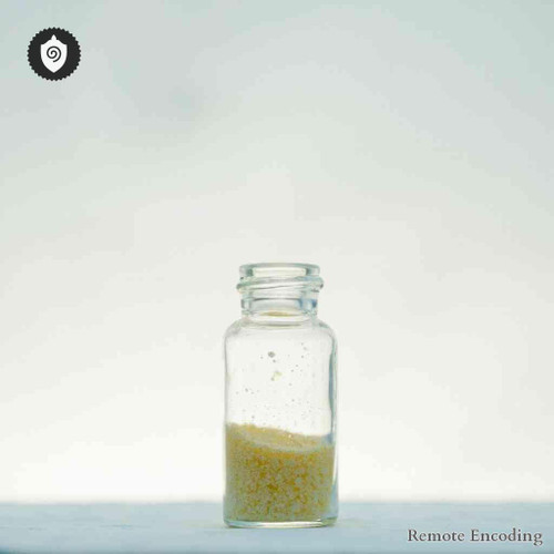 Larus Argentatus remote imprint tool for quantum transmission and distance energy relay in energetic charge systems