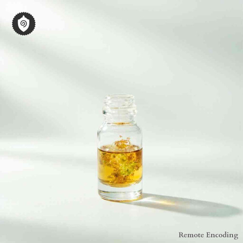 Lathyrus Japonicus remote imprint catalyst for quantum transmission and energetic charge field alignment