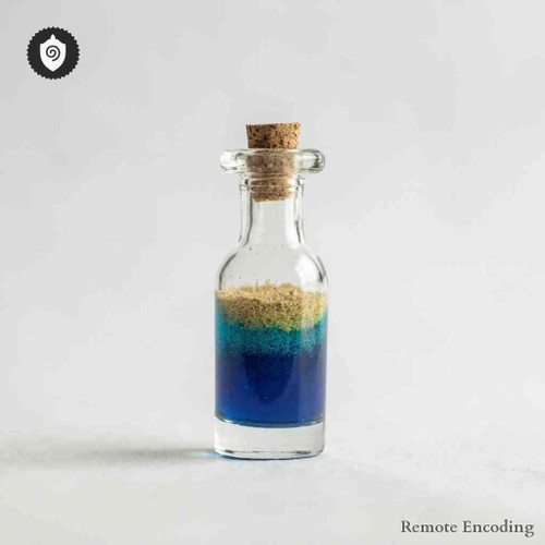 Lavandula Spica quantum transmission node enabling precise remote imprint and distance energy relay connection