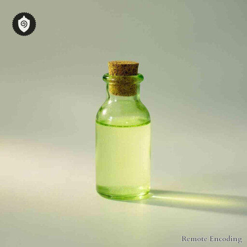 Leontodon Hispidus quantum transmission module for remote imprint and distance energy relay in field activation