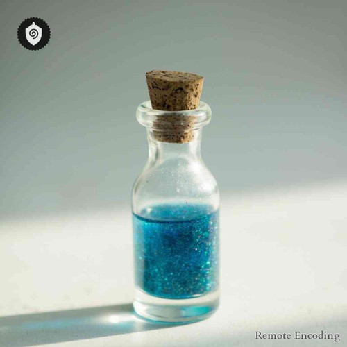 Medulla Spinalis Sacralis remote imprint device for quantum transmission and distance energy relay in spinal field