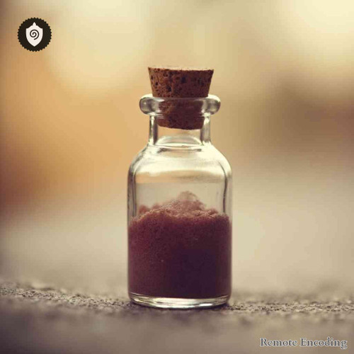 Micromeria Douglasii remote imprint catalyst for quantum transmission and energetic charge synchronization