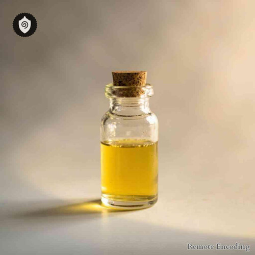 Morchella Esculenta remote imprint device for quantum transmission and energetic charge through distance energy relay