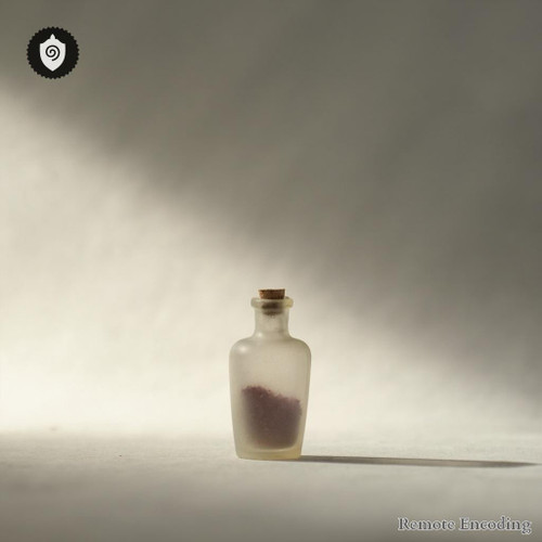 Nervus Ischiadicus remote imprint for quantum transmission and distance energy relay with precise energetic charge