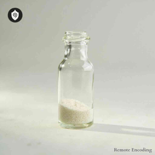 Pernis Apivorus remote imprint device harnessing quantum transmission for precise energetic charge relay