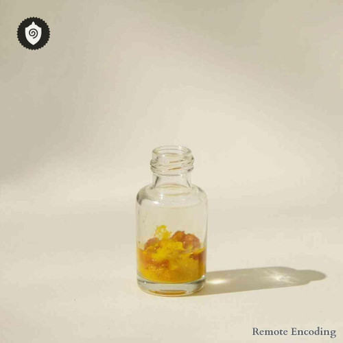 Polyporus Nigricans remote imprint catalyst with quantum transmission interface for energetic charge alignment