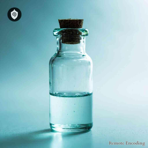 Pyracantha Koidzumii remote imprint module for quantum transmission and distance energy relay in field sync