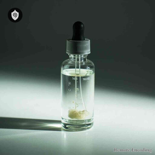 Pyrrhocoris Apterus remote imprint device for quantum transmission and distance energy relay in energetic networks