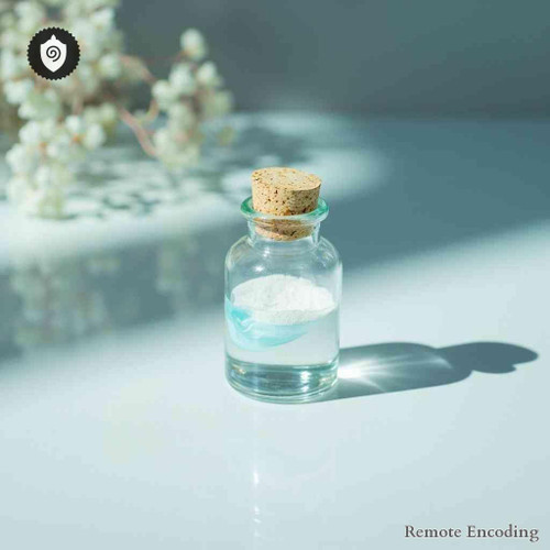 Rhus Aromatica remote imprint catalyst for quantum transmission and distance energy relay in energetic fields