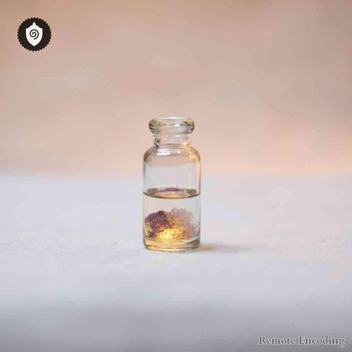 Rosa Damascena quantum transmission medium for remote imprint and distance energy relay within quantum fields