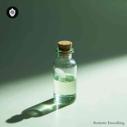 Ruellia Squarrosa remote energy relay system for quantum transmission and distant energetic charge synchronization