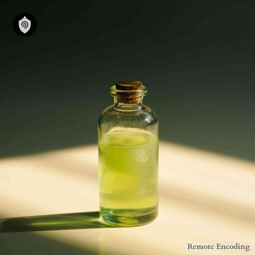 Schisandra Chinensis quantum transmission module for remote imprint and distance energy relay in dynamic fields