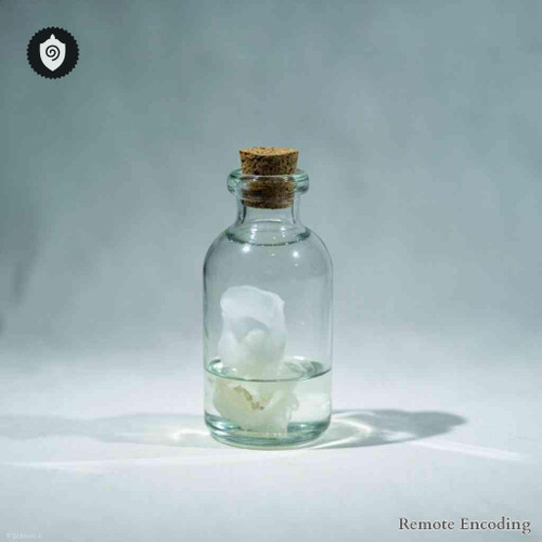 Sutherlandia Frutescens remote imprint device for quantum field transmission and precise energetic charge relay