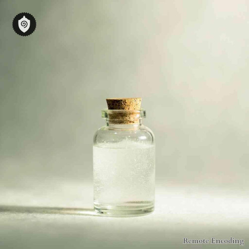 Triticum Spelta quantum transmission tool with remote imprint for distance energy relay and signal activation