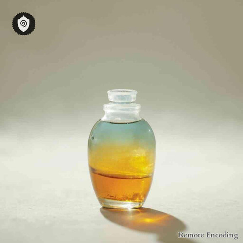 Ultrasonitus 3,5 Mhz device for remote imprint and quantum transmission in energetic field synchronization