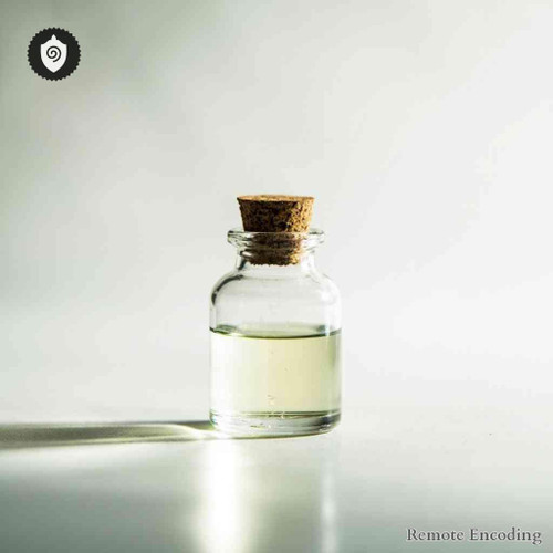 Vasconcellea Quercifolia remote imprint device for quantum transmission and distance energy relay alignment