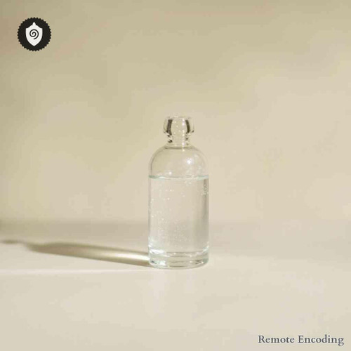 Ventus Auster Eurus remote imprint device for quantum transmission and distance energy relay in field dynamics