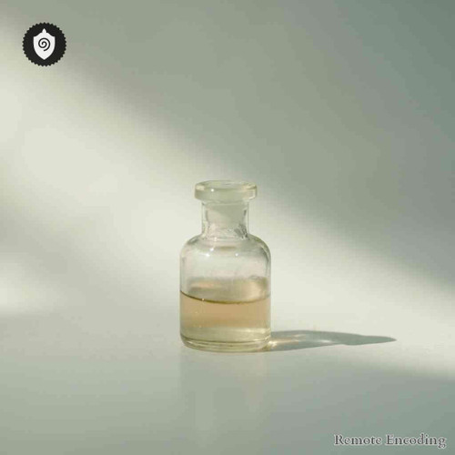 Vespula Germanica remote imprint device for quantum field alignment and distance energy relay in energetic systems