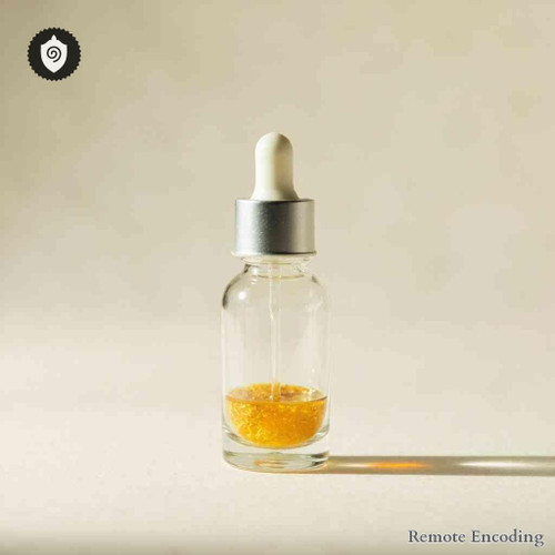 Xanthium Macrocarpum quantum transmission module for remote imprint and distance energy relay in quantum fields