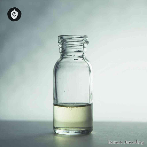 Ziziphus Joazeiro remote imprint for quantum field alignment and distance energy relay in energetic transmissions