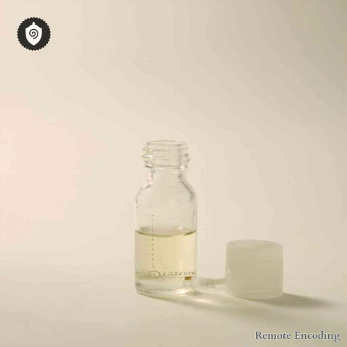 Chicory remote imprint catalyst with quantum transmission interface for distance energy relay and field sync