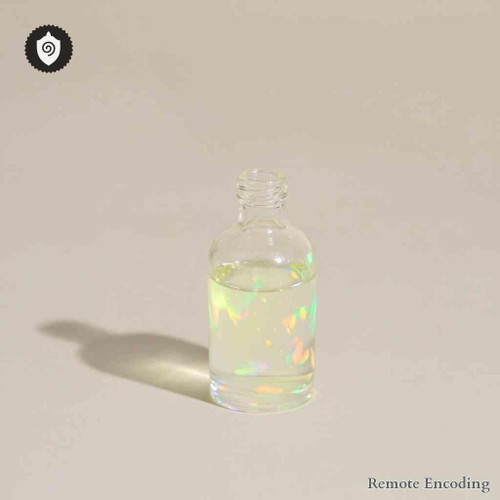 Sea Campion distance energy relay device for quantum transmission and remote activation of energetic charge