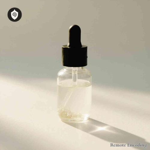 Hibbertia remote imprint module facilitating quantum transmission and distance energy relay for energetic charge