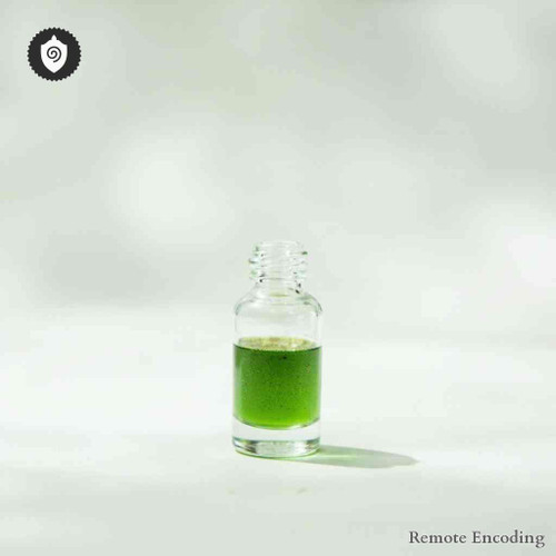 Bells Of Ireland remote imprint with quantum field activation for distance energy relay and energetic charge sync