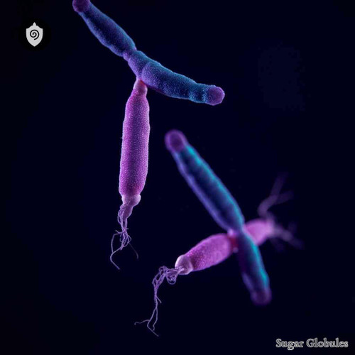 Bacillus No. 7 sugar spheres in uniform pellet format for energetic homeopathic (nonmedical) physical remedy presentation