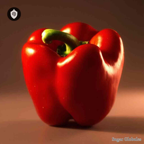 Capsicum Annuum sugar granules in orb format for energetic homeopathic (nonmedical) product presentation and dry storage