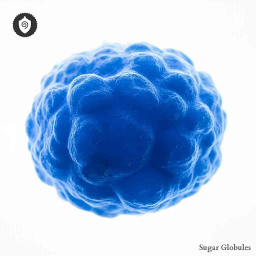 Chlamydia Pneumoniae sugar granules in precise orb format for energetic homeopathic (nonmedical) remedy presentation and storage