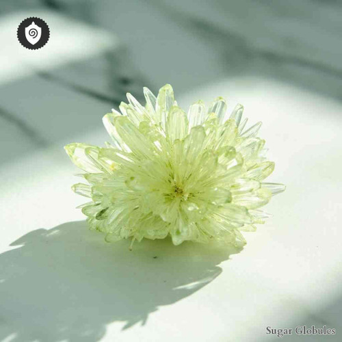 Ferrum Salicylicum sugar spheres in pellet form, precisely sized for energetic homeopathic (nonmedical) dry-formulation presentation