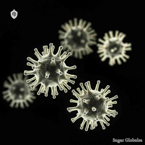 Foot-And-Mouth Disease Virus sugar spheres in uniform orb format for energetic homeopathic (nonmedical) dry-form physical presentation