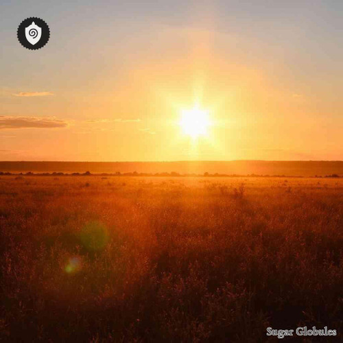 Lux Solis Africae sugar spheres in precise orb format for energetic homeopathic (nonmedical) dry-form product presentation