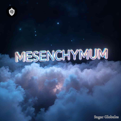 Mesenchymum sugar spheres in compact orb form for energetic homeopathic (nonmedical) solid presentation and dry storage