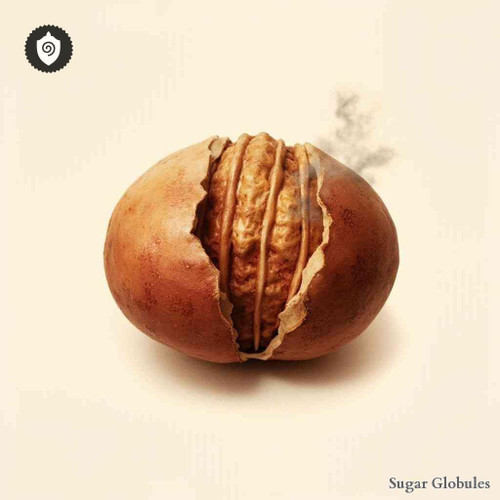 Nux Moschata - Myristica Fragrans sugar spheres in orb form for energetic homeopathic (nonmedical) dry-form presentation