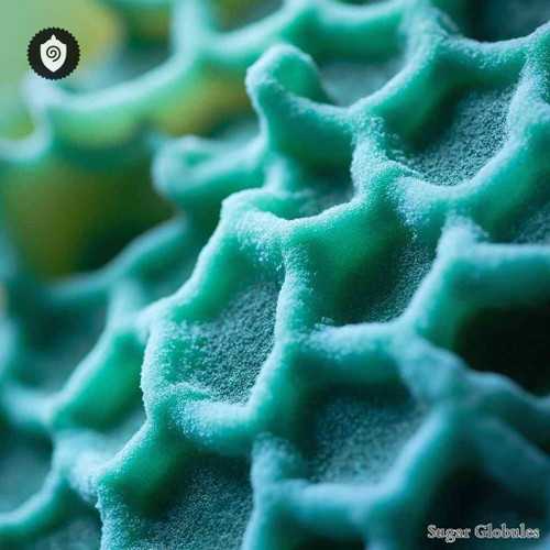 Penicillium Roqueforti sugar spheres in uniform orb format for energetic homeopathic (nonmedical) dry-form presentation