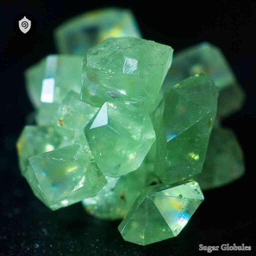 Praseodymium Oxalicum sugar orbs in spherical dry form for energetic homeopathic (nonmedical) remedy presentation and storage