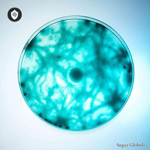 Proteus Rettgeri sugar spheres in precise orb format for energetic homeopathic (nonmedical) solid form presentation and storage