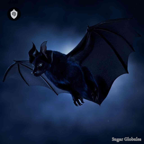 Pteropus Alecto sugar spheres in consistent orb shape for energetic homeopathic (nonmedical) dry-form product presentation