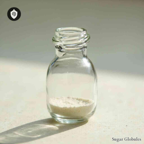 Quenstedtoceras Spec. Fossil sugar orbs in dry-format granules for energetic homeopathic (nonmedical) remedy presentation